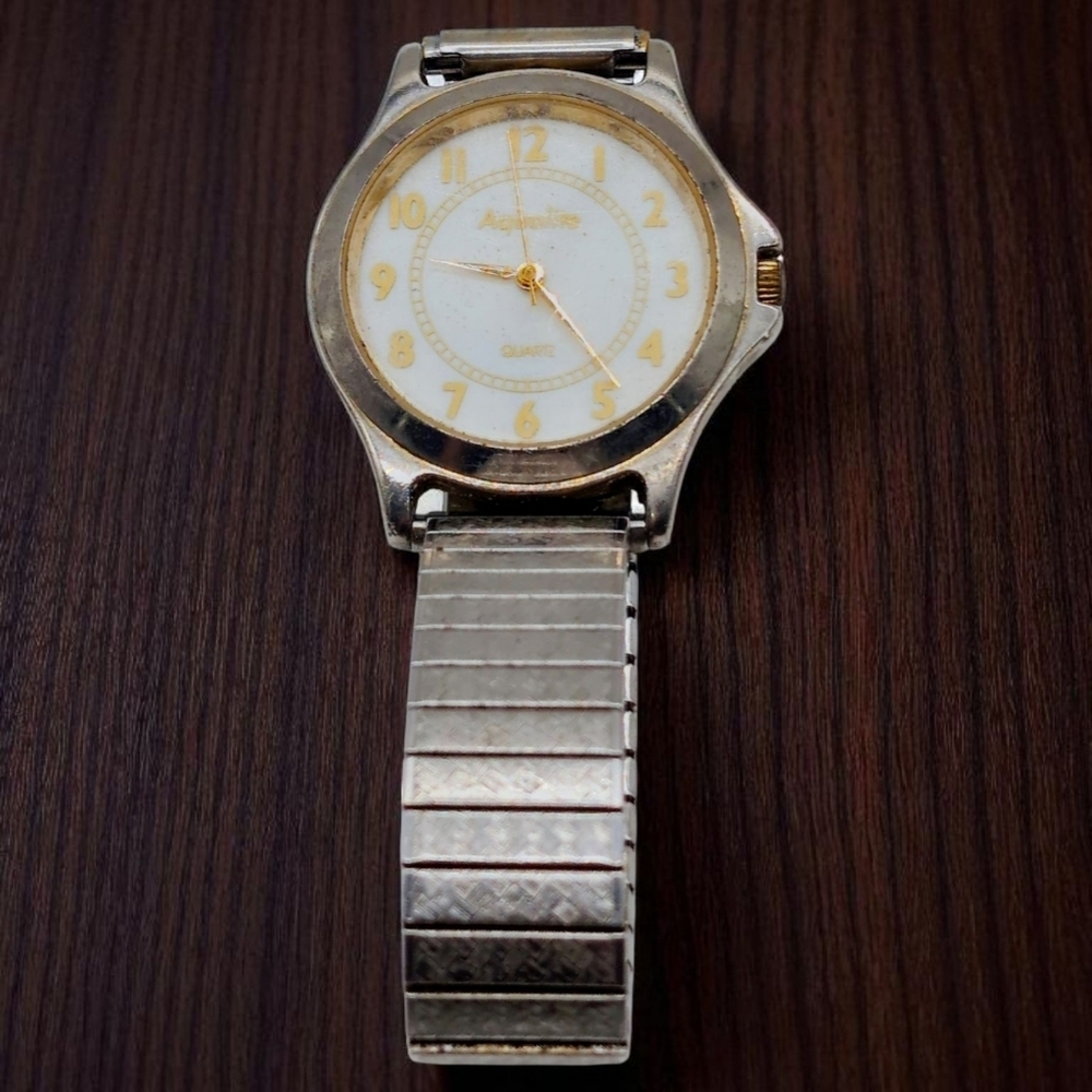 Aqualute Quartz Silver and Gold Analog Watch